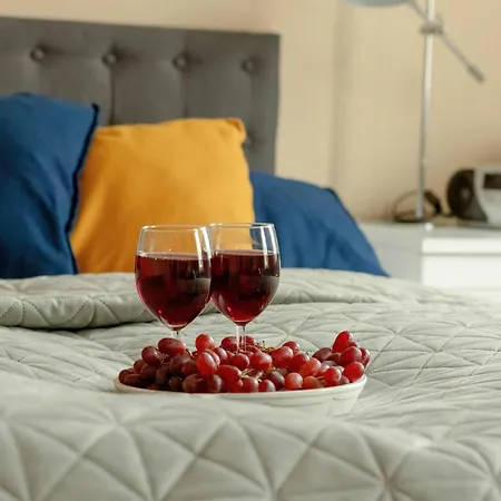 Bright Swiatowida Near The Perfect For Remote Work By Renters *